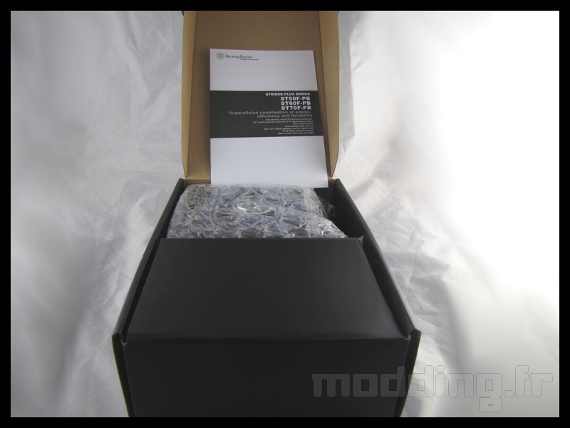 strider_plus_600w_05