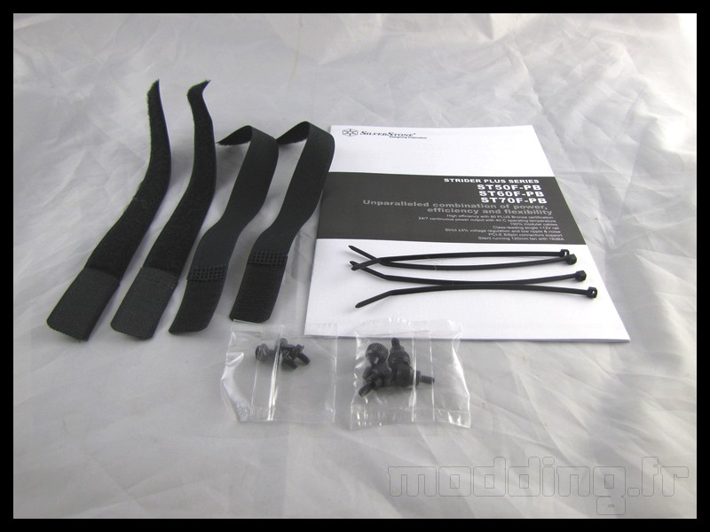 strider_plus_600w_06