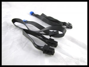 strider_plus_600w_10