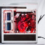 Heartbeat Computer Build (1)