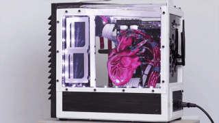 Heartbeat Computer Build