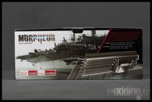 Morpheus 01