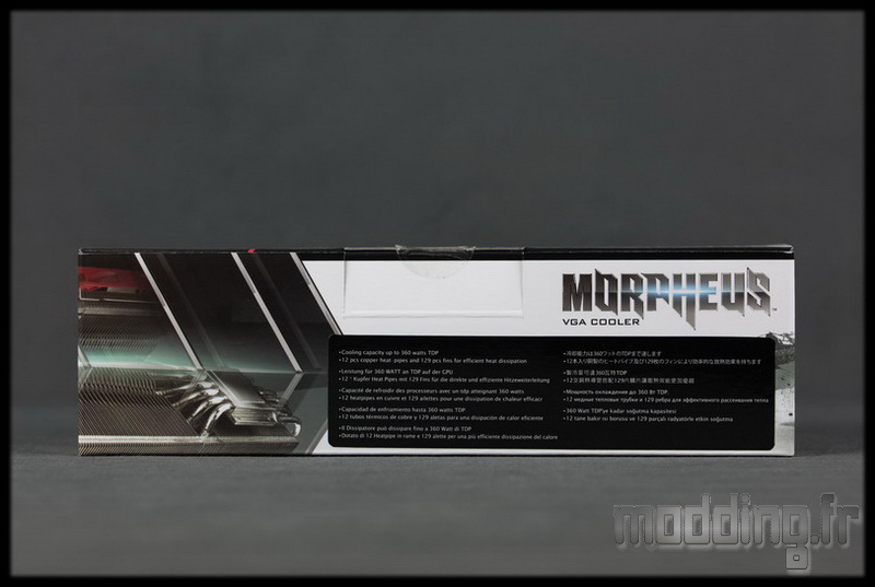 Morpheus 03
