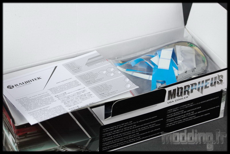 Morpheus 05