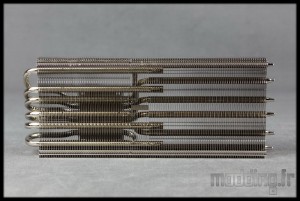 Morpheus 23