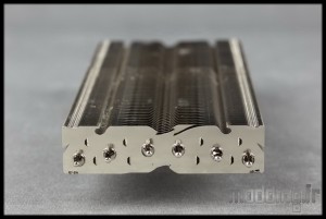 Morpheus 24