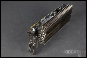 Morpheus 54