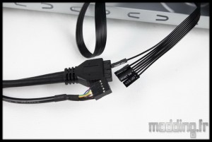 SG-11 28