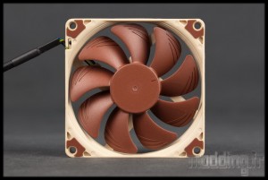 NH-L9x65 19