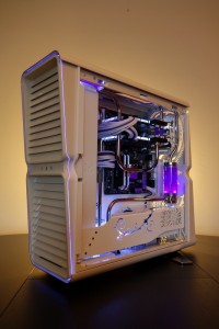 Purpura 03
