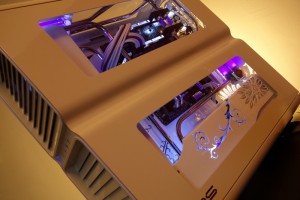 Purpura 08