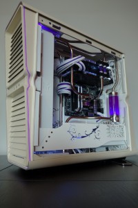 Purpura 27