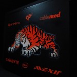 mod tigger (2)