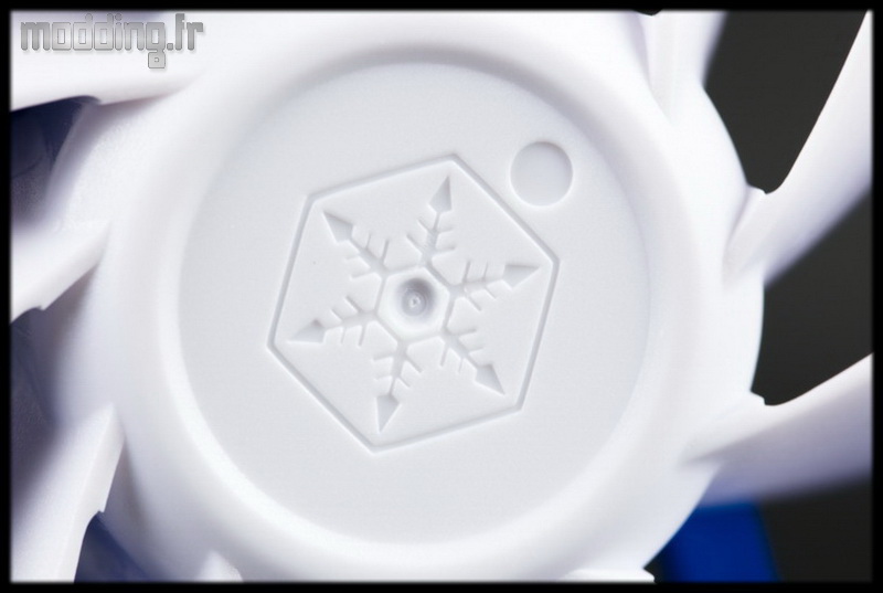 FW Teaser