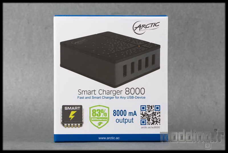 Arctic Charger 08