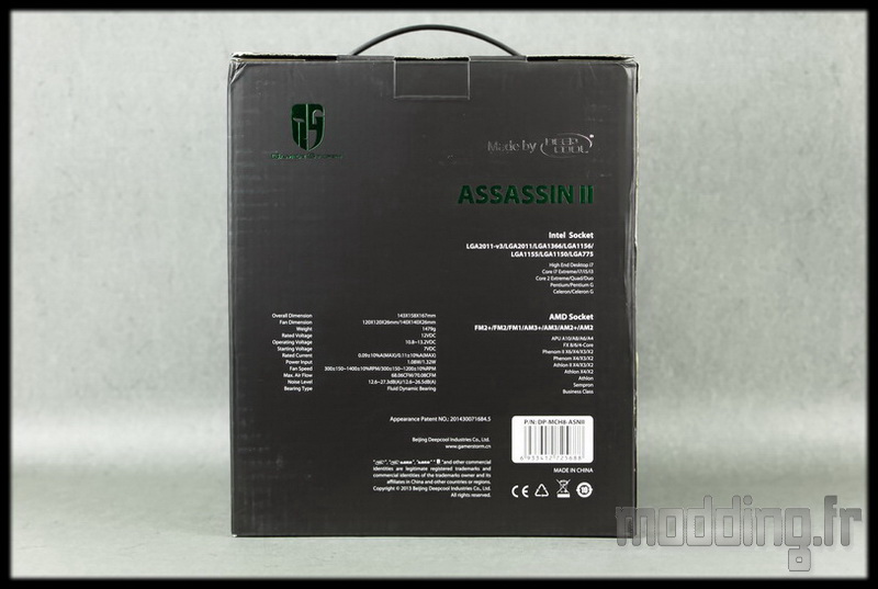 Assassin II 02