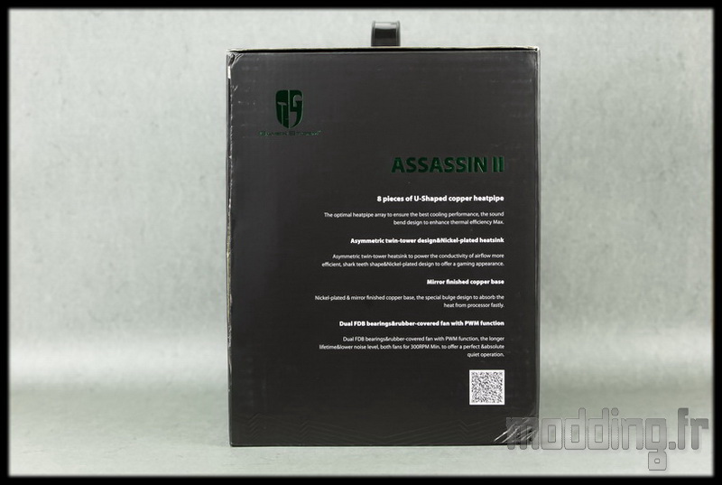 Assassin II 03