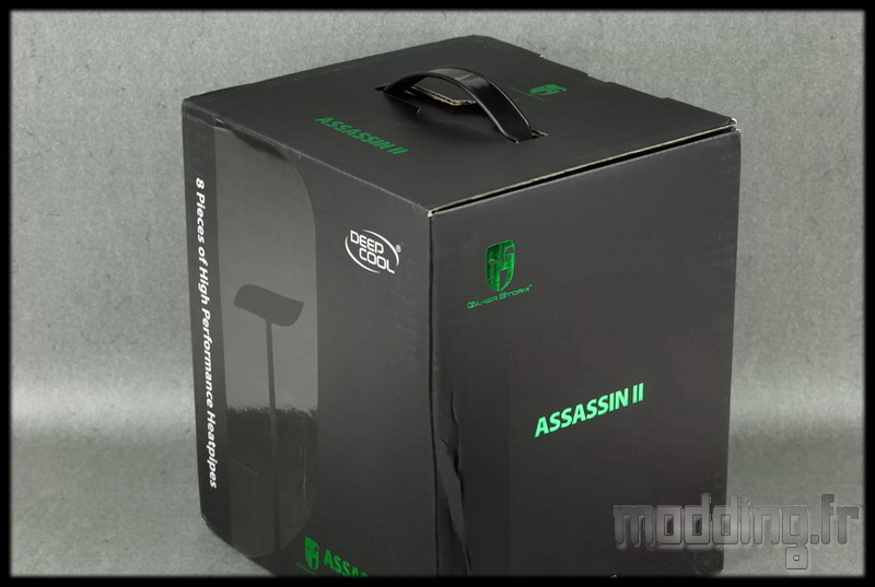 Assassin II 04