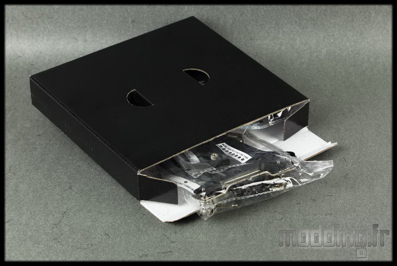 Assassin II 06
