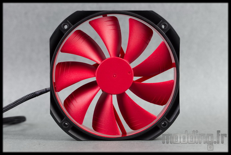 Assassin II 40