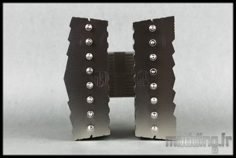 Assassin II 55
