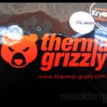 thermal_grizzly_004