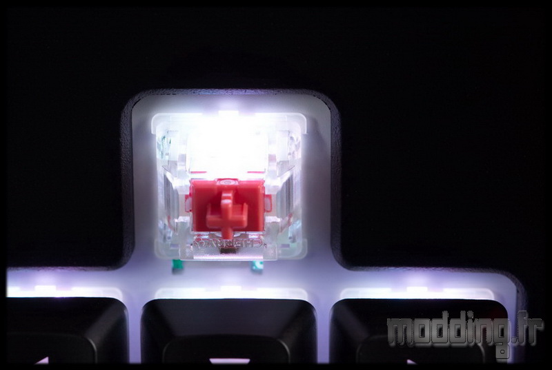 Strafe RGB 53
