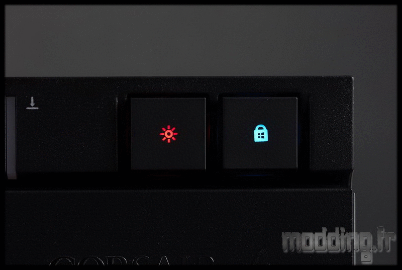 Strafe RGB 55