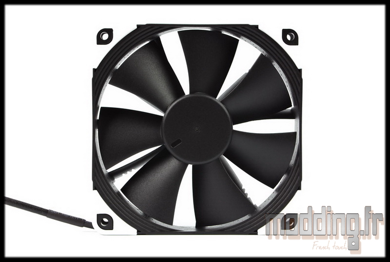 Chromax 20