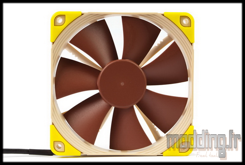 Chromax 29