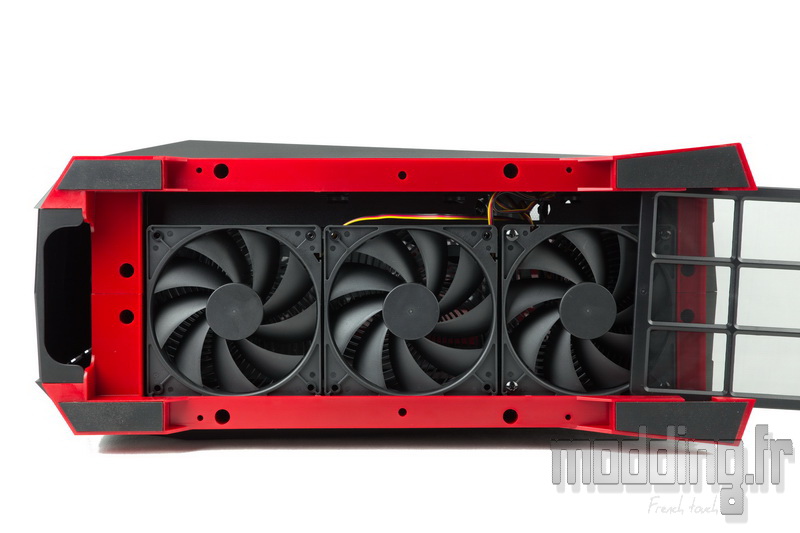 Raven RVX01 25