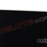 Ocelote World 05