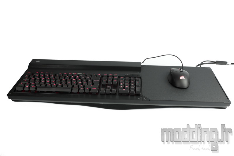 LapDog 56