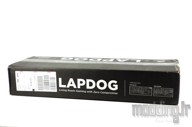 Lapdog 03