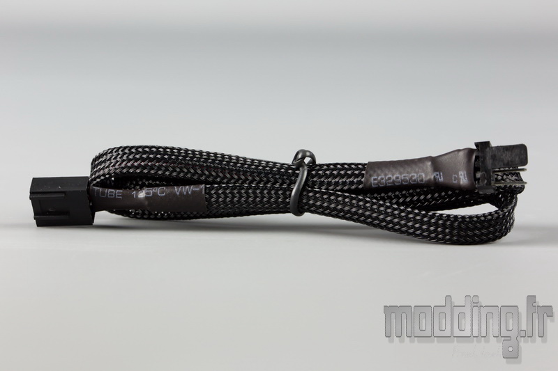 eLoop 05
