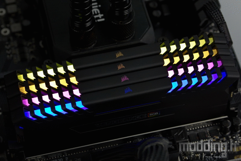 Vengeance RGB 25