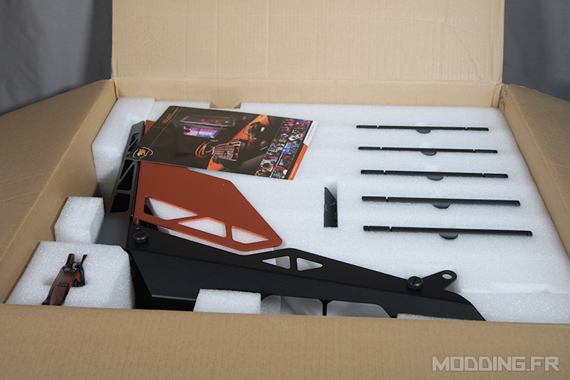 Cougar_Conquer_box_opening1