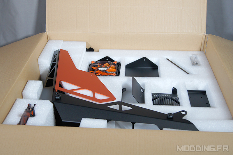 Cougar_Conquer_box_opening2