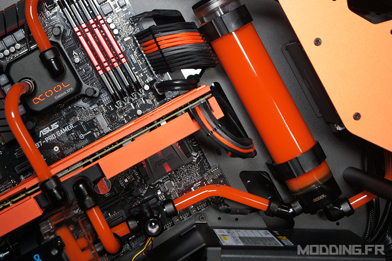 cougar_conquer_alphacool_18