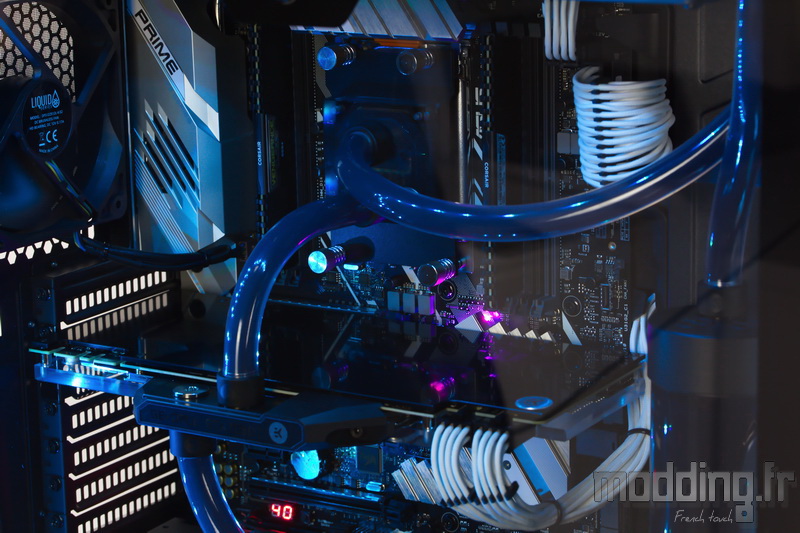 PC-Specialist 48