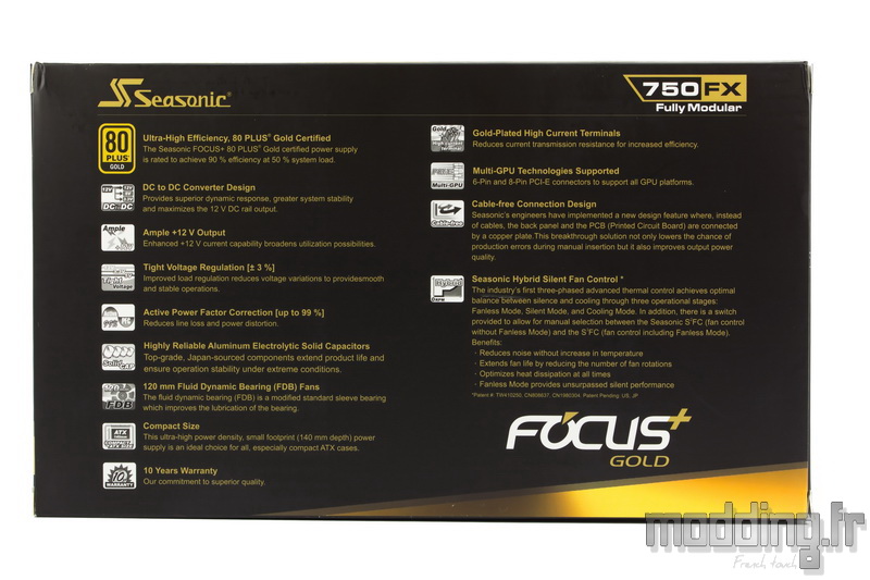 Focus Gold 02