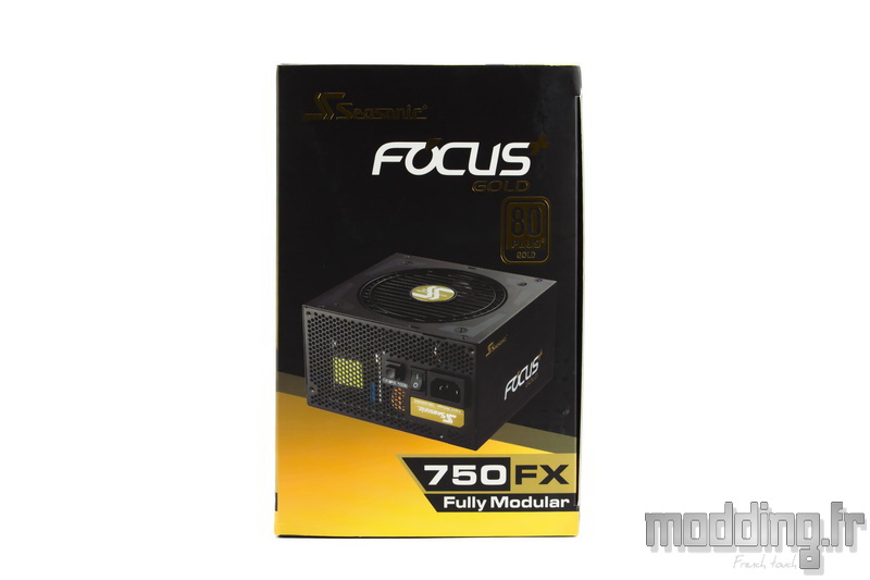 Focus Gold 04