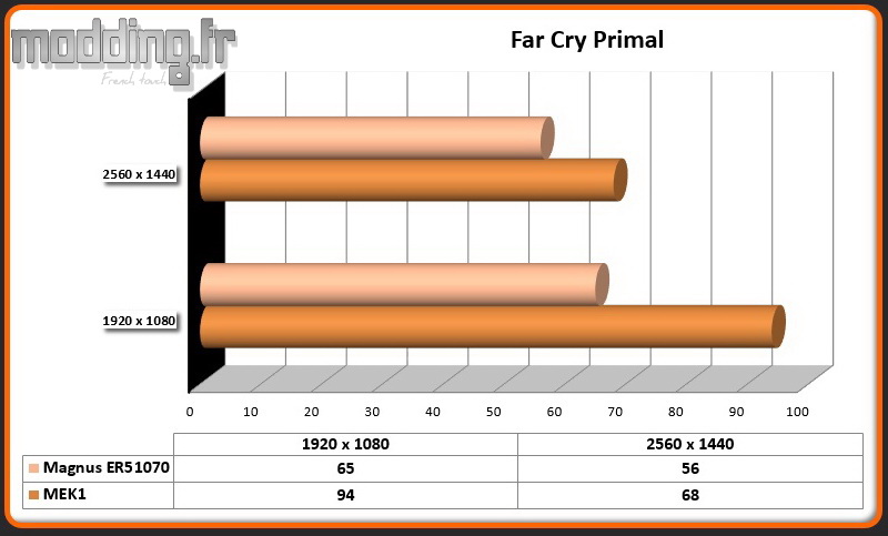 Jeu Far Cry Primal Magnus ER51070