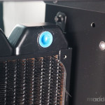 Hydra_NR_49
