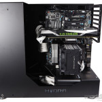 Hydra_NR_50