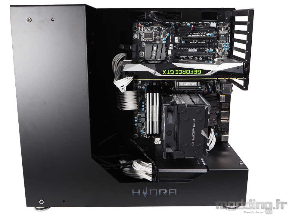 Hydra_NR_50