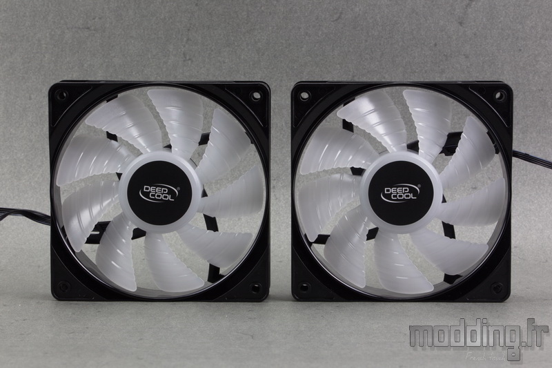 Gammaxx L240 24
