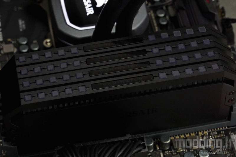 Dominator RGB Platinum 33