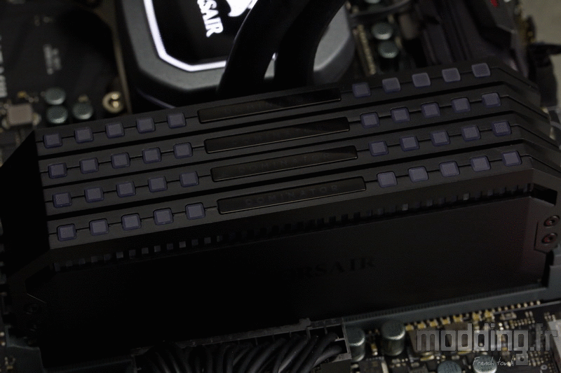 Dominator RGB Platinum 35