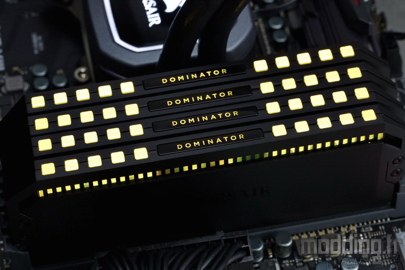 Dominator RGB Platinum 43